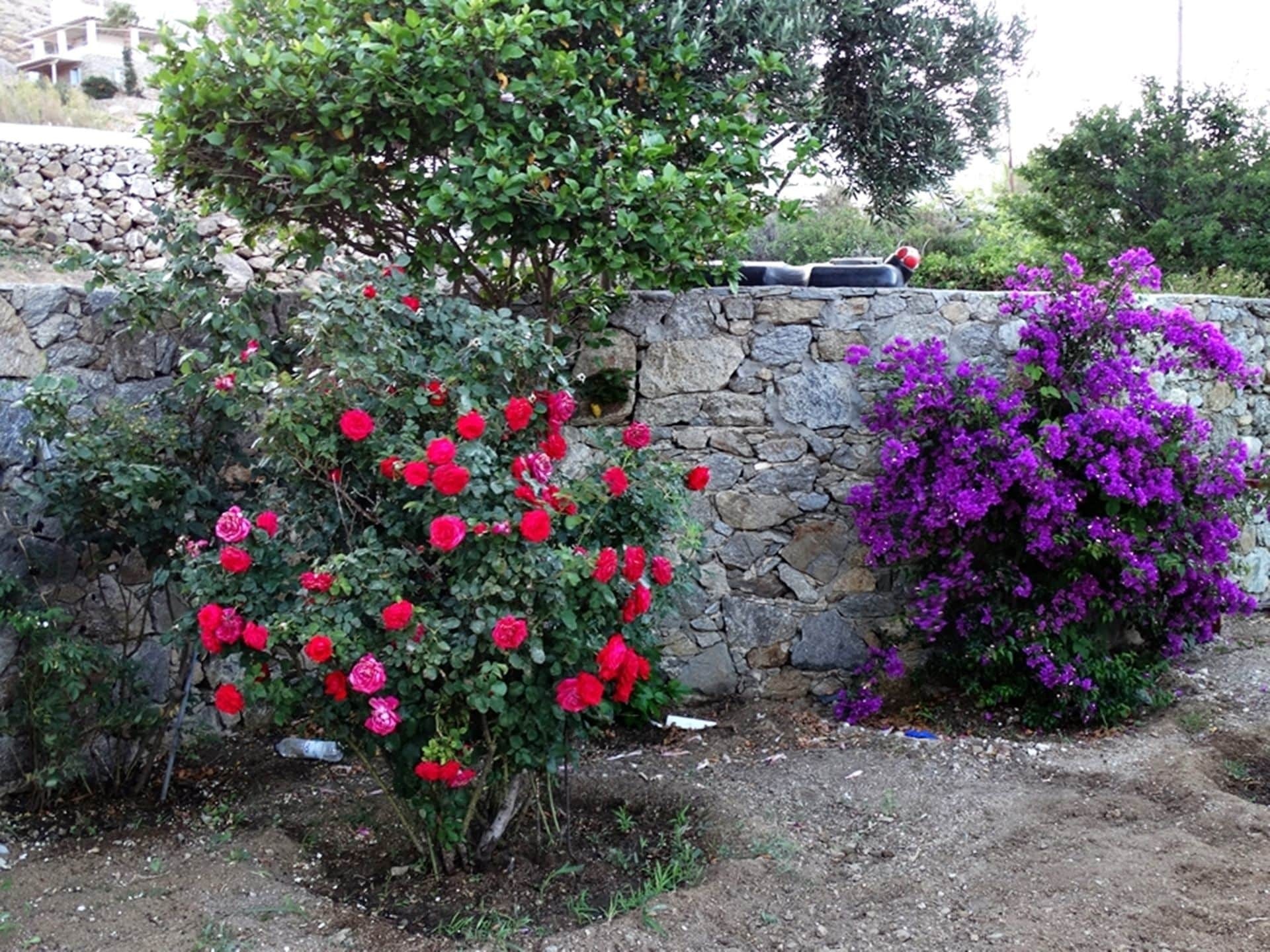Mykonian Breeze Apartment Ano Mera